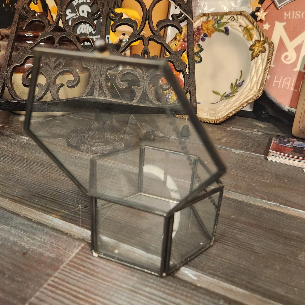 Hexagonal Glass Terrarium with Black Frame - Picture 3 of 4